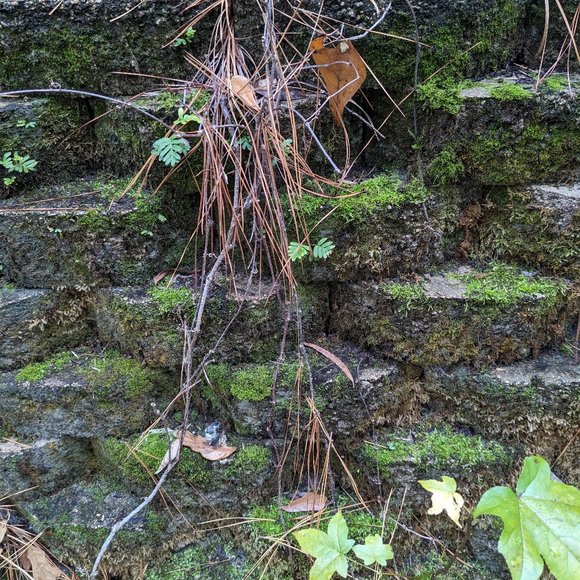 Meet your Posher - Picture 1 of 1